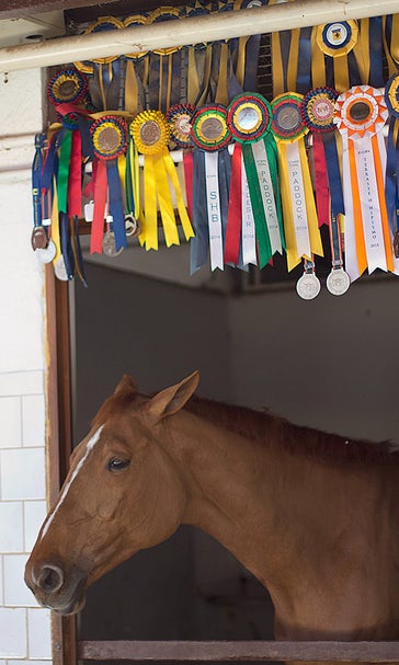 Equestrian dies after falling from horse at New Jersey event